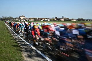 The pack of riders cycles during the 115th Milan-SanRemo one-day classic cycling race, between Pavia and SanRemo, on March 16, 2024. (Photo by Marco BERTORELLO / AFP)
