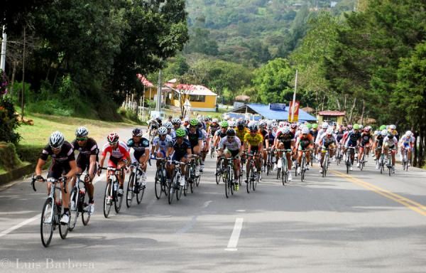 The peloton during stage 7
