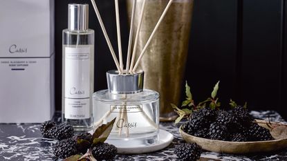 Cassis reed diffuser from The White Company