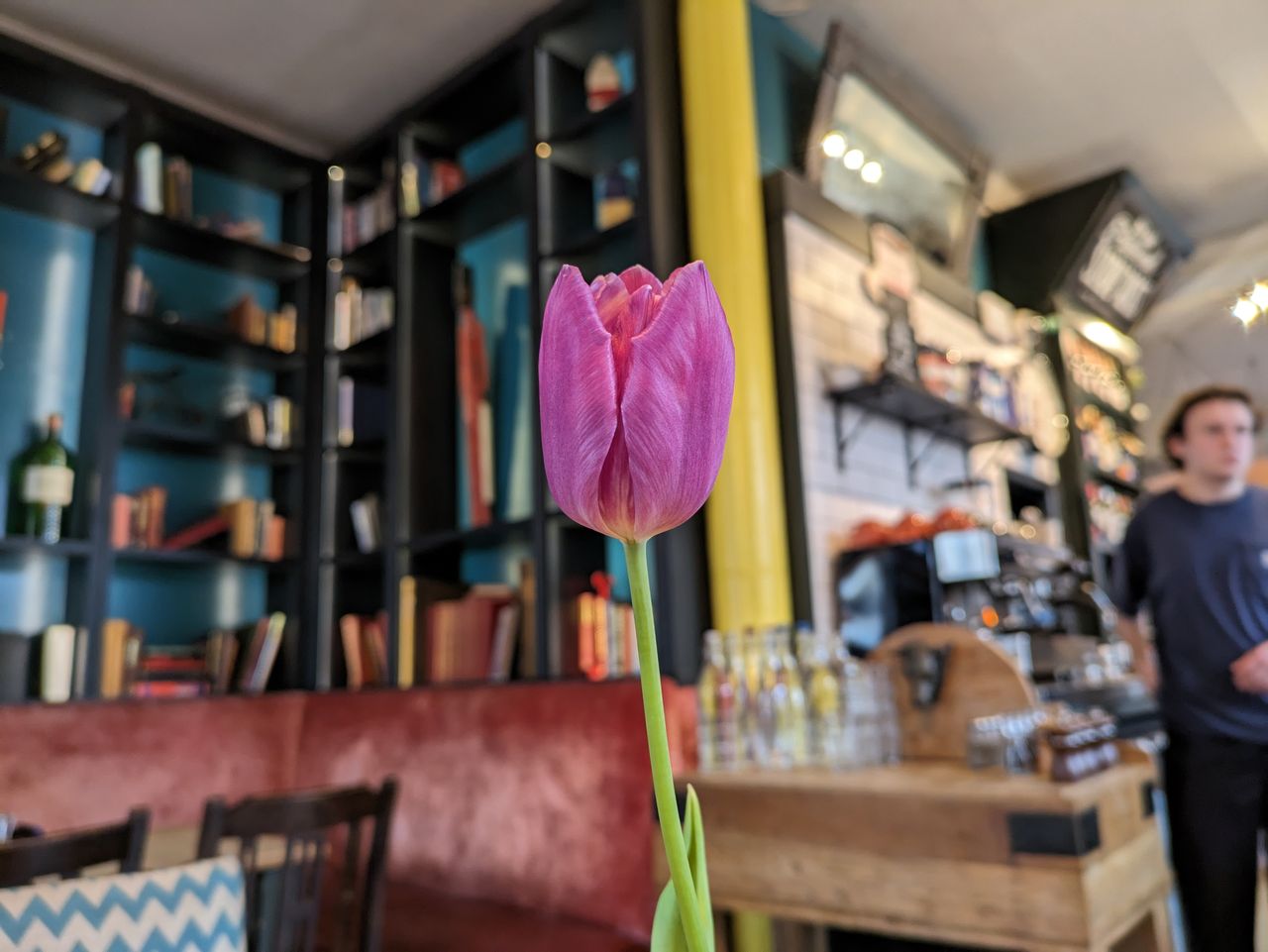 Google Pixel 7a camera samples
