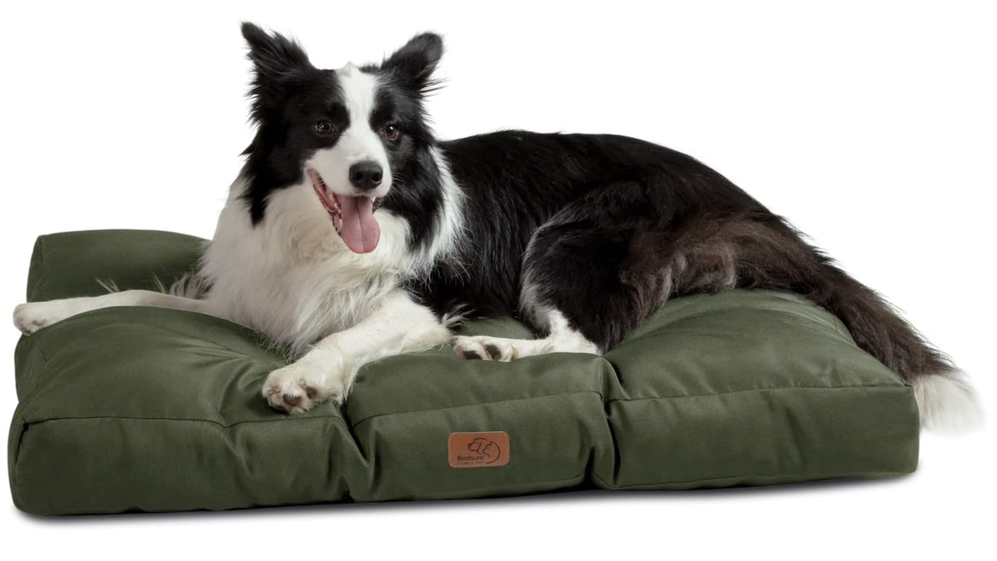 Collie lying on waterproof dog bed