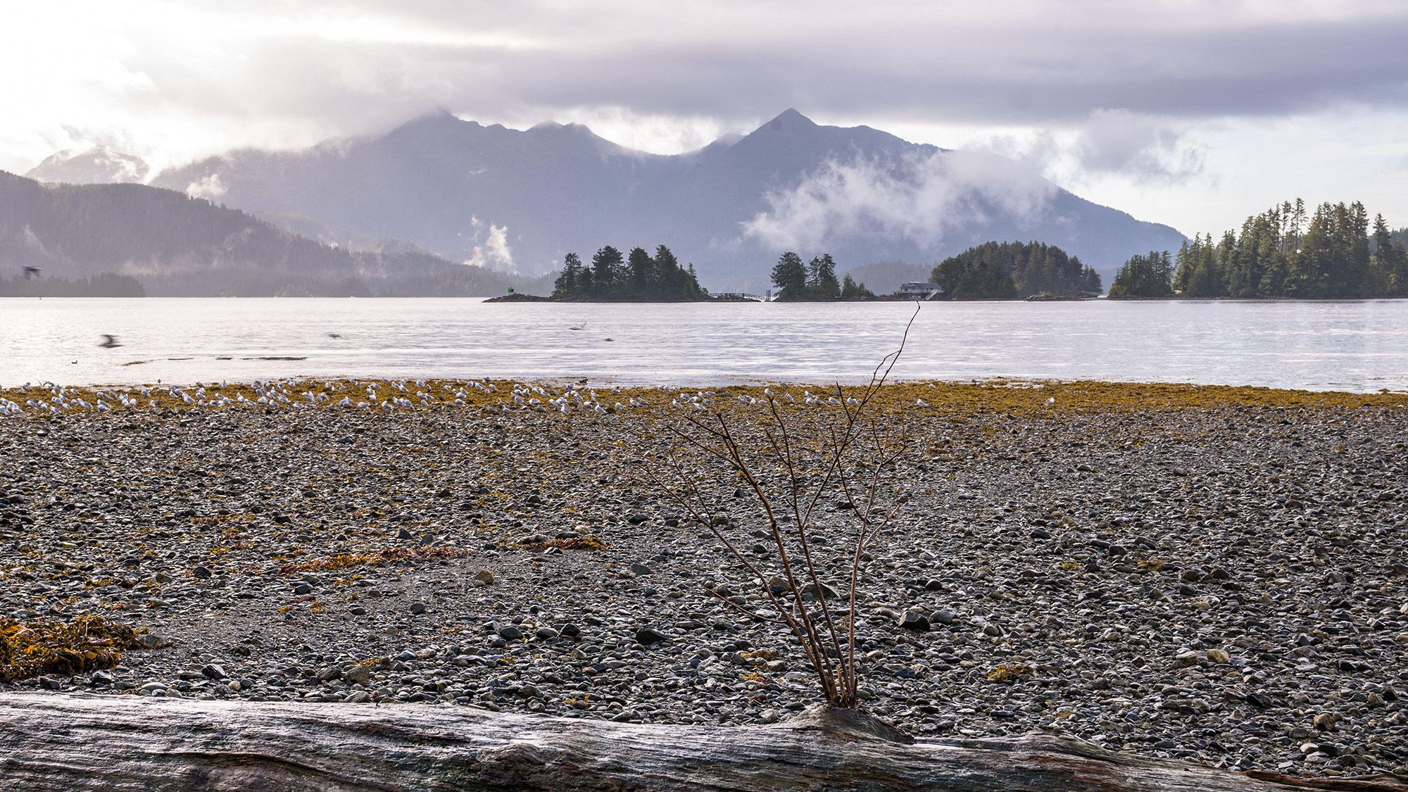 A view of a lake with a pebbly shore in the foreground.