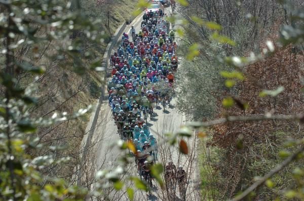 The peloton through the trees creates a unique image.