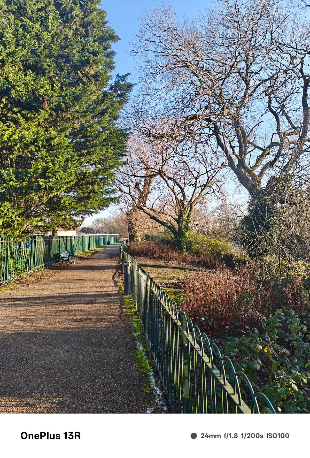 Path lined with trees and green fence through a park