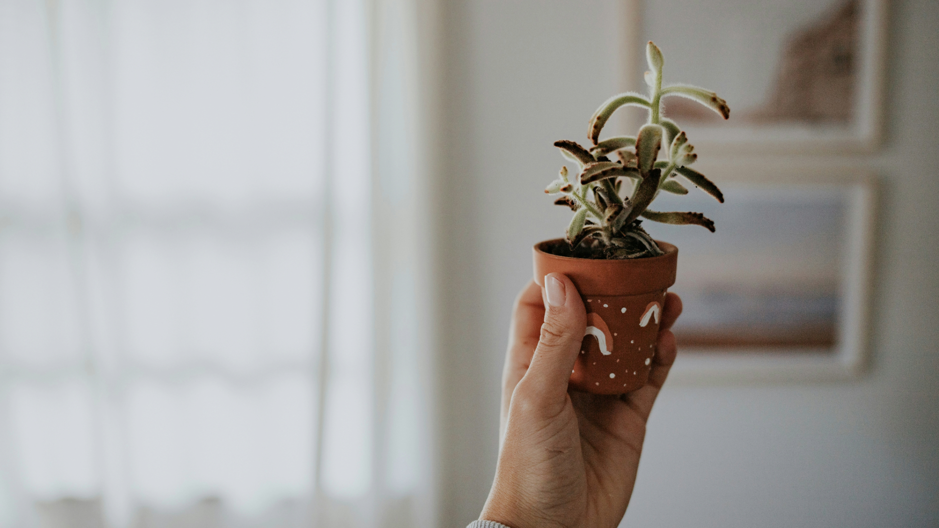 How to paint an outdoor plant pot – make your handiwork last in 3 simple steps