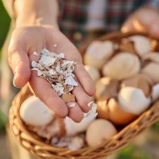 crushed eggshells being held with full shells in a basket