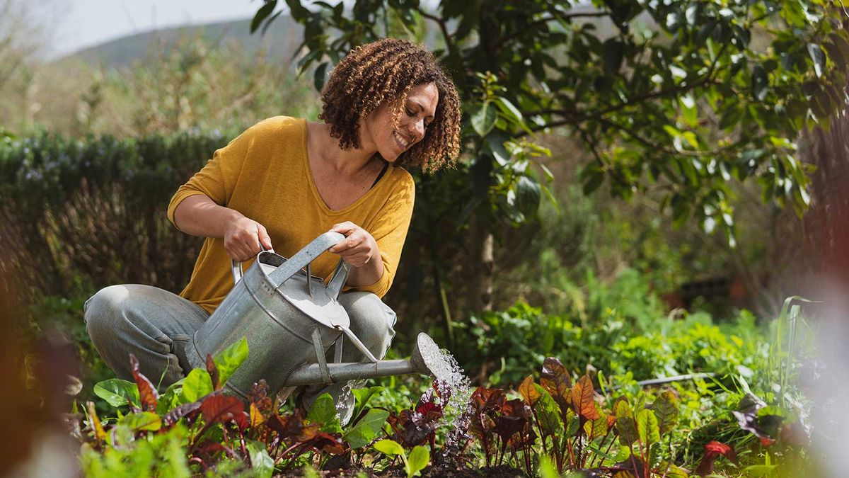 How to make a stale seedbed for getting rid of weeds | Homes & Gardens