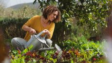 woman watering vegetables in garden
