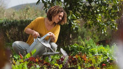 woman watering vegetables in garden