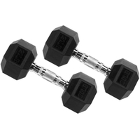 Fitvids Premium 20lb dumbbells