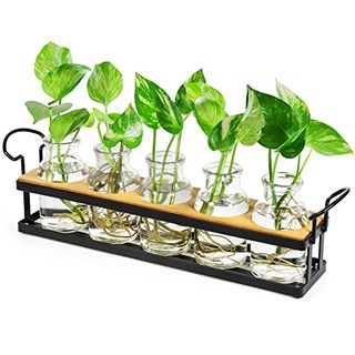 Thygiftree Plant Propagation Stations With Metal Stand, Tabletop Plant Terrarium for Propagating Hydroponic, Retro Glass Planter Flower Vase Home Kitchen Office Decor, Plant Lover Gifts, 5 Jars