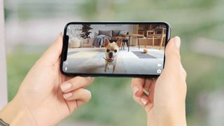 pet camera currys