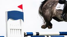 SHOWJUMPING LEGS