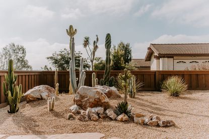 a modern gravel backyard with cacti and a path