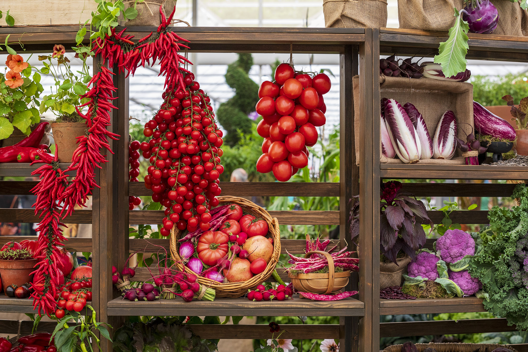 RHS Chelsea Flower Show 2025