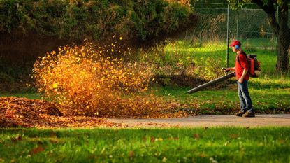 A leaf blower in action.