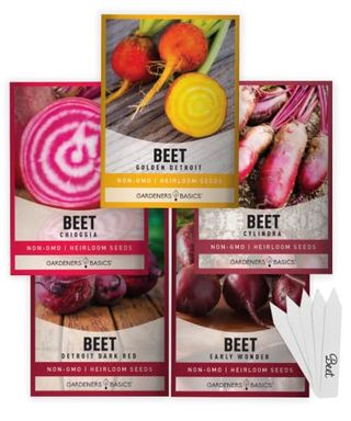 Gardeners Basics, Beet Seeds for Planting Home Garden - 5 Variety Pack Detroit Dark Red, Golden Detroit, Early Wonder, Cylindria and Chioggia Great for Spring, Summer, Fall, Heirloom Veggie Seeds