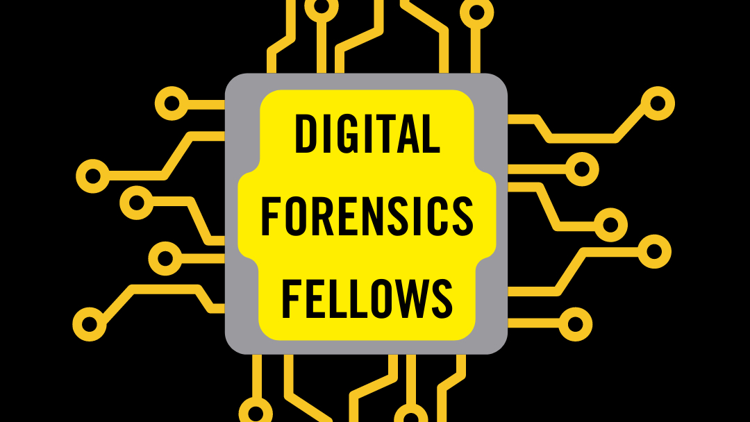 The logo for the Digital Forensic Fellows