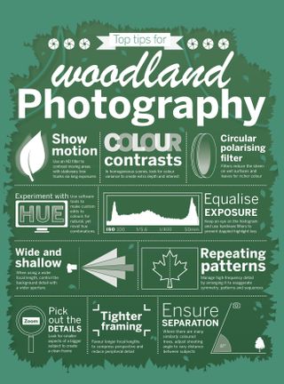 Photography cheat sheet woodland