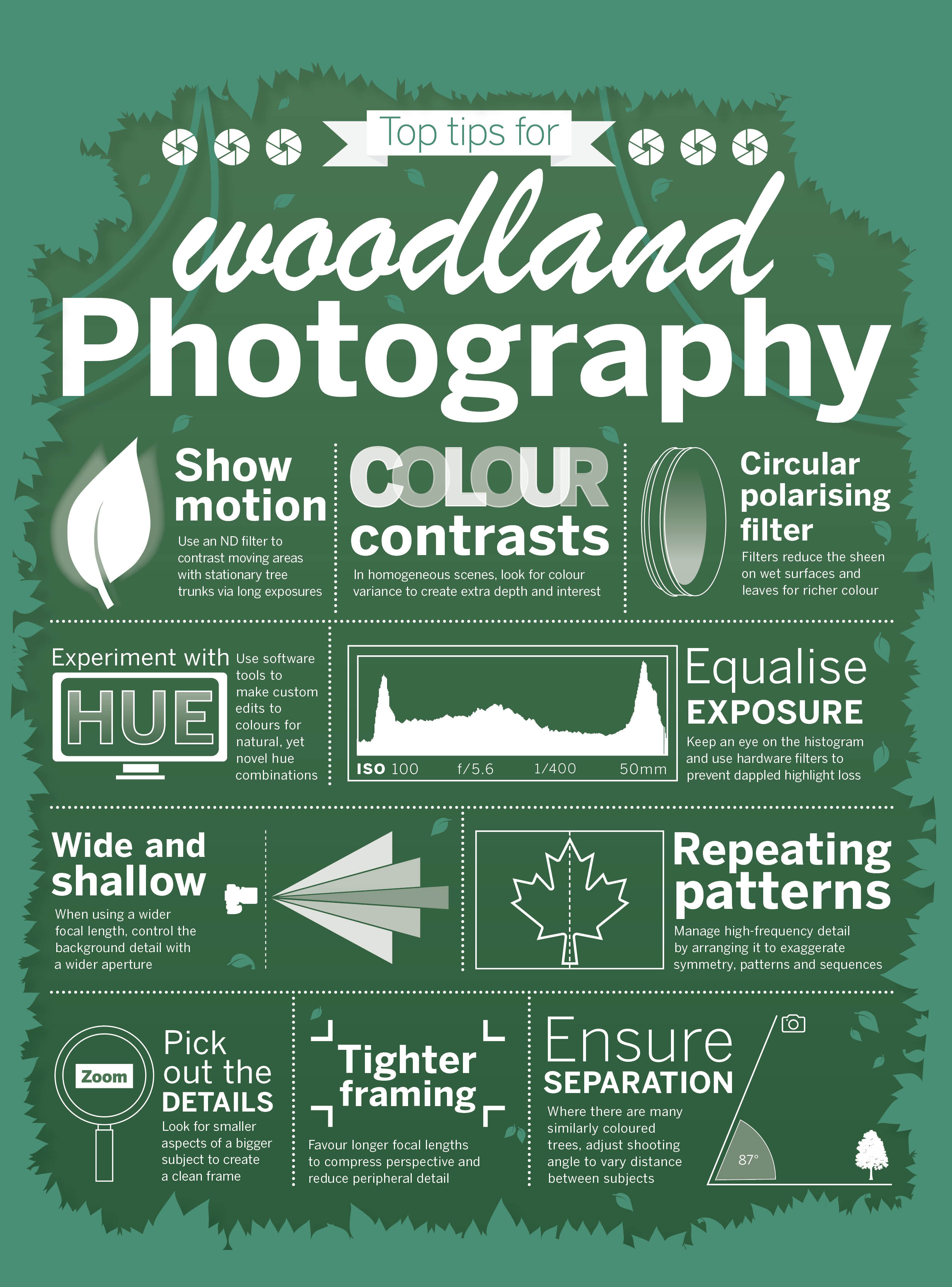 Photography cheat sheet forest