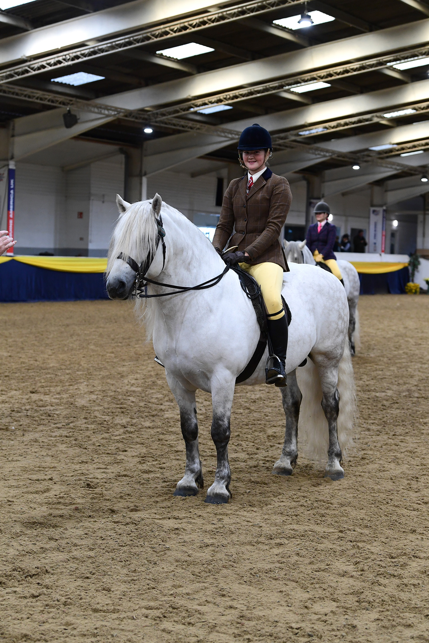 Heritage Show 14.10.23Cl 92 winnerNo. 200 Ellister Islay Spruce