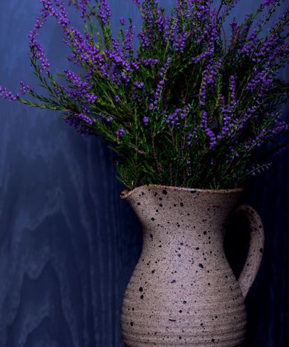 Can I grow lavender indoors? Boost your sleep and wellbeing Homes and