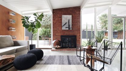 a large living room with a fiddle leaf fig in the corner