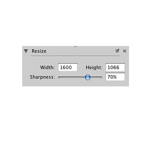PhotoComplete image: This important tool allows you to change the size of your photo.