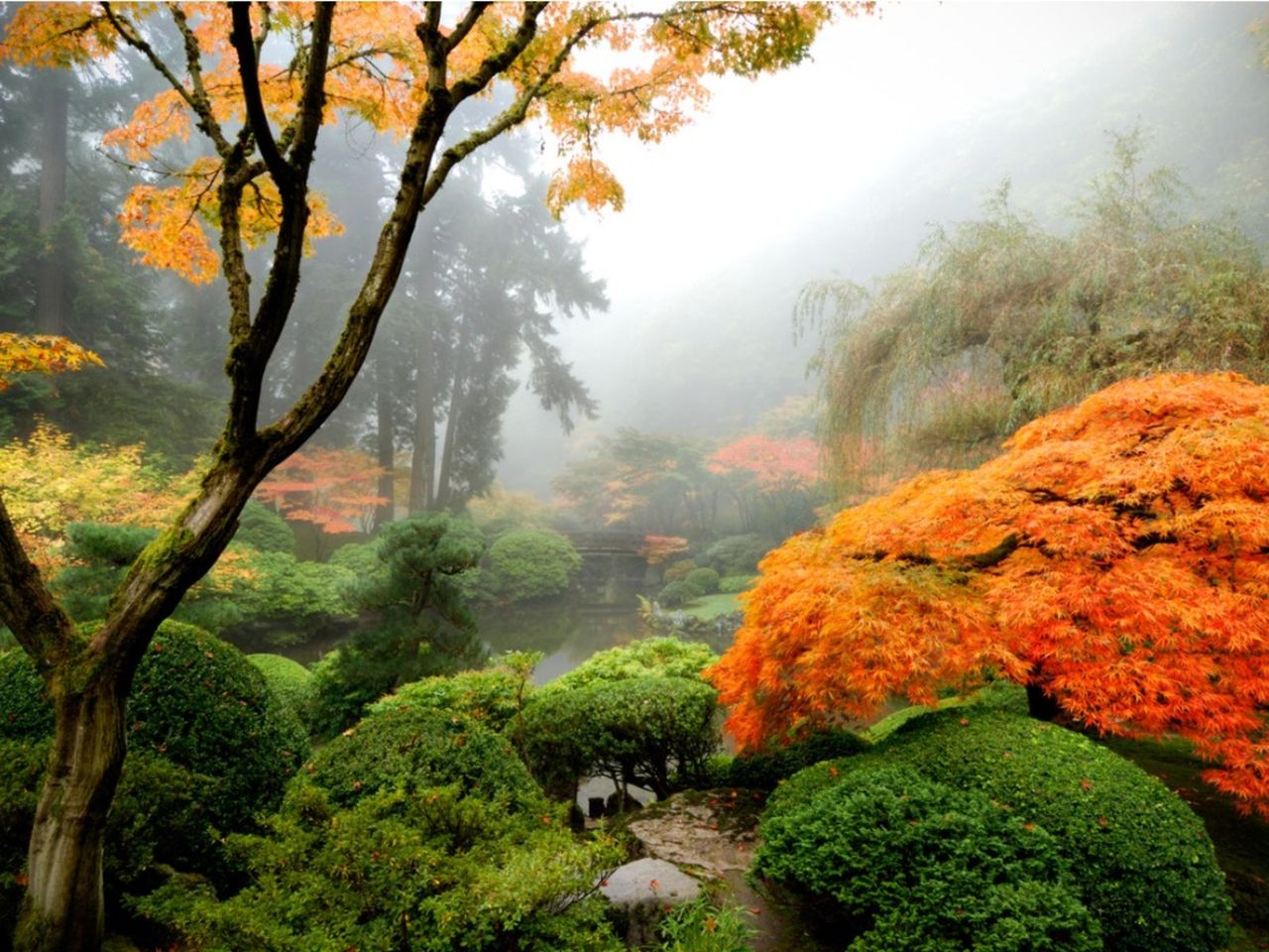 Japanese Style Flower Garden