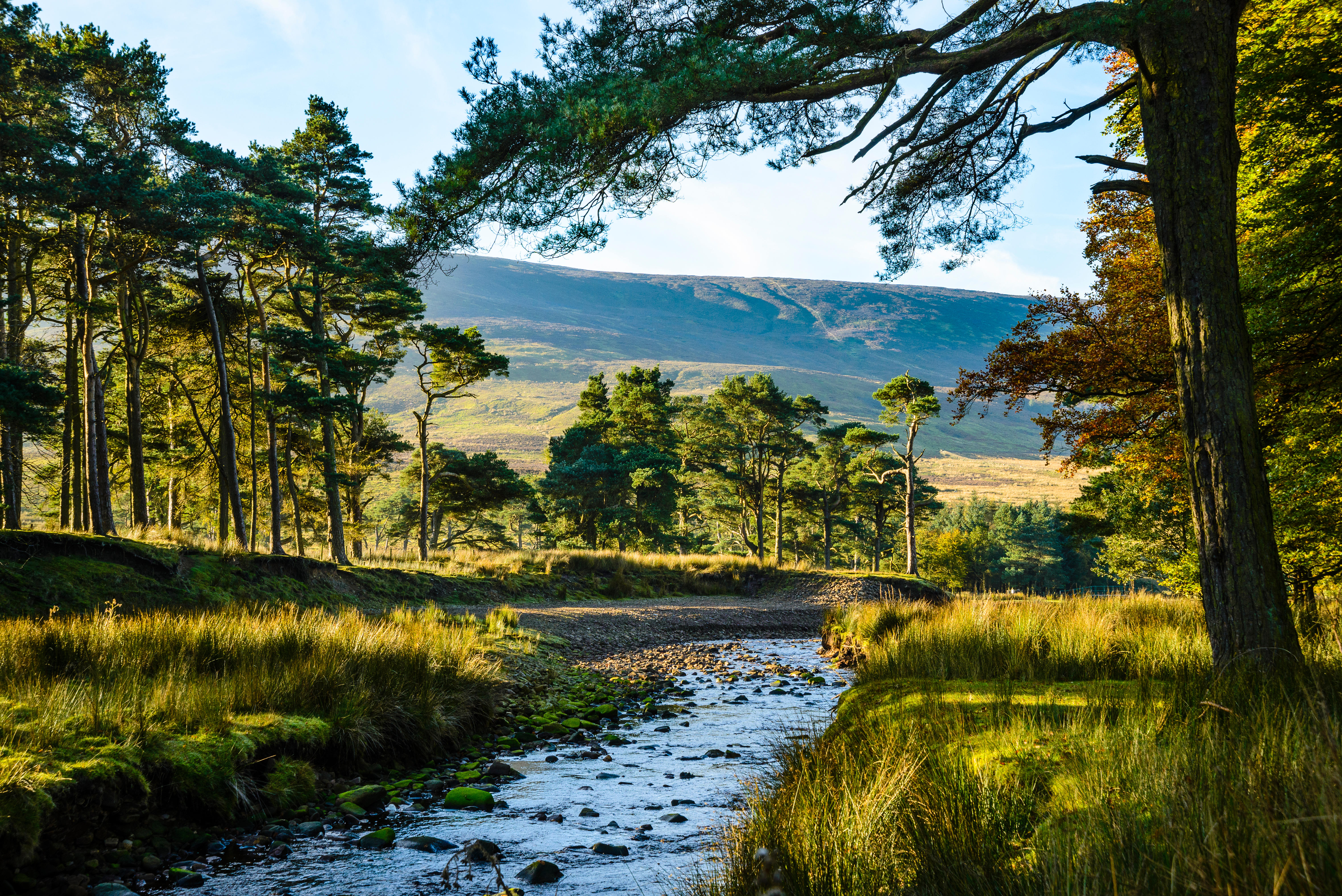 The valley of the Marshaw Wyre in the Forest of Bowland, looking to Hawthornthwaite Fell.