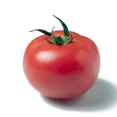 pinkish red variety of tomato isolated on white background 