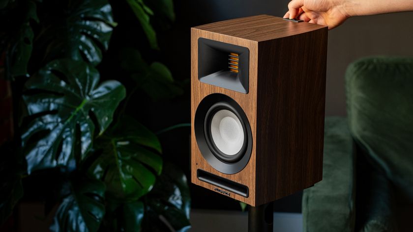 The Fluance Ri71 speaker in a wood finish, in front of a plant