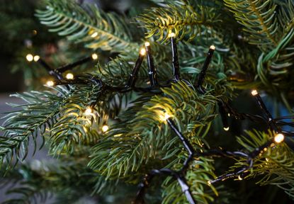A close up of Christmas tree branches decorated with string lights
