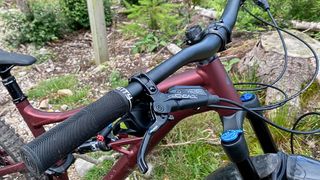 Close up on the Specialized 160