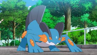A screenshot of Swampert in the Pokemon anime series.