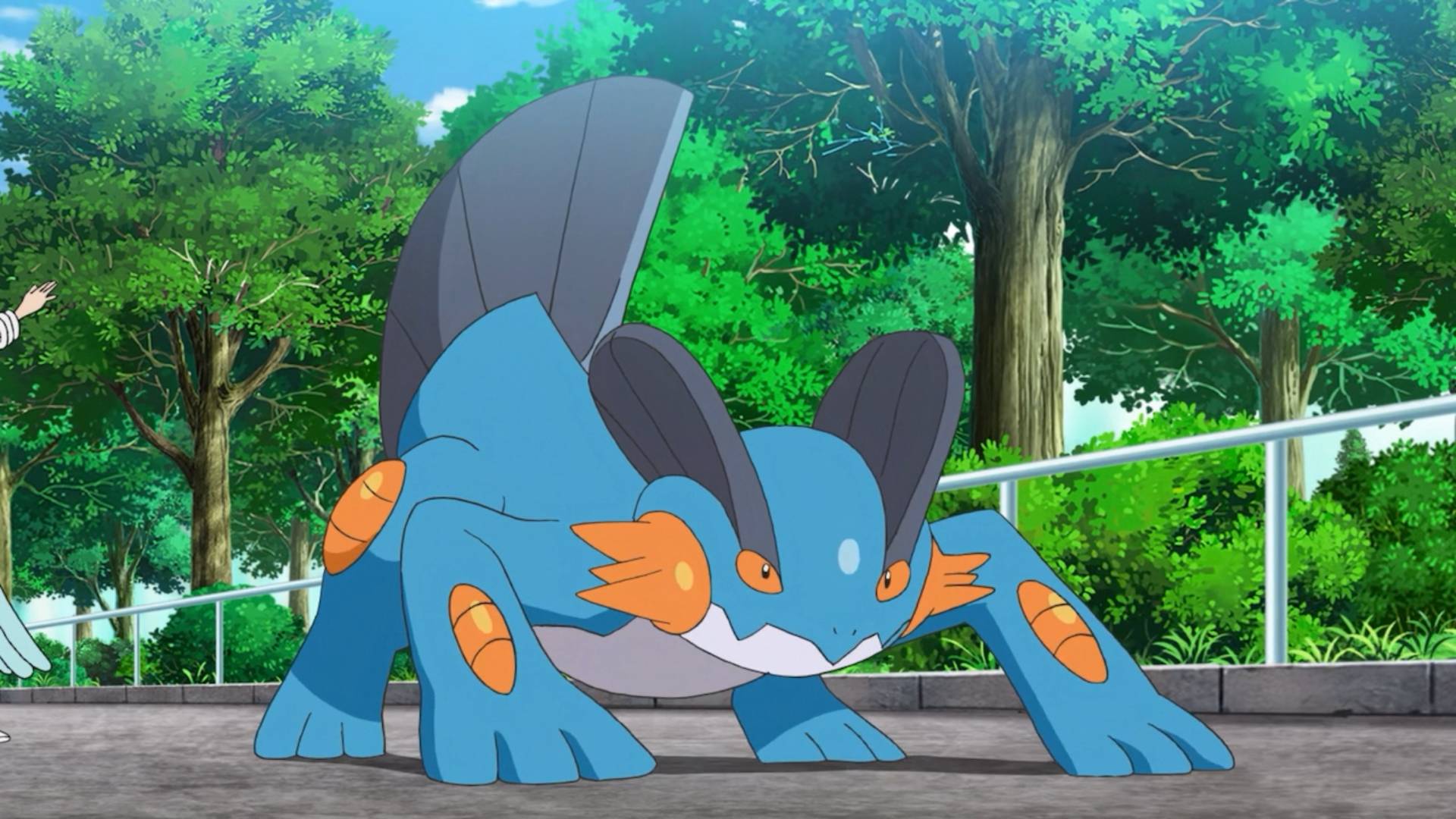 A screenshot of Swampert in the Pokemon anime series.