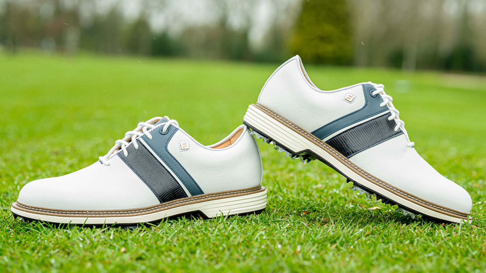 FootJoy Premiere Series Packard 2026 Golf Shoe Review 