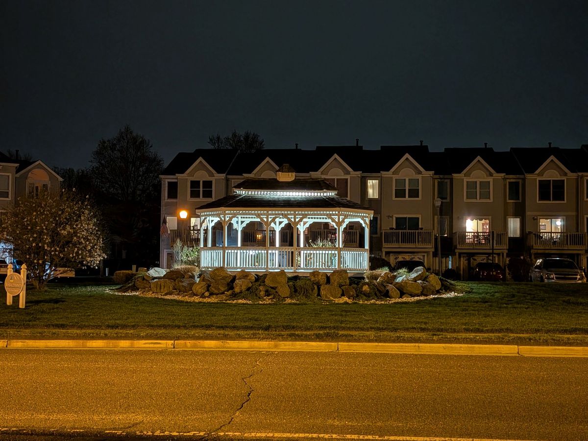 Google Pixel 9a zoom sample.