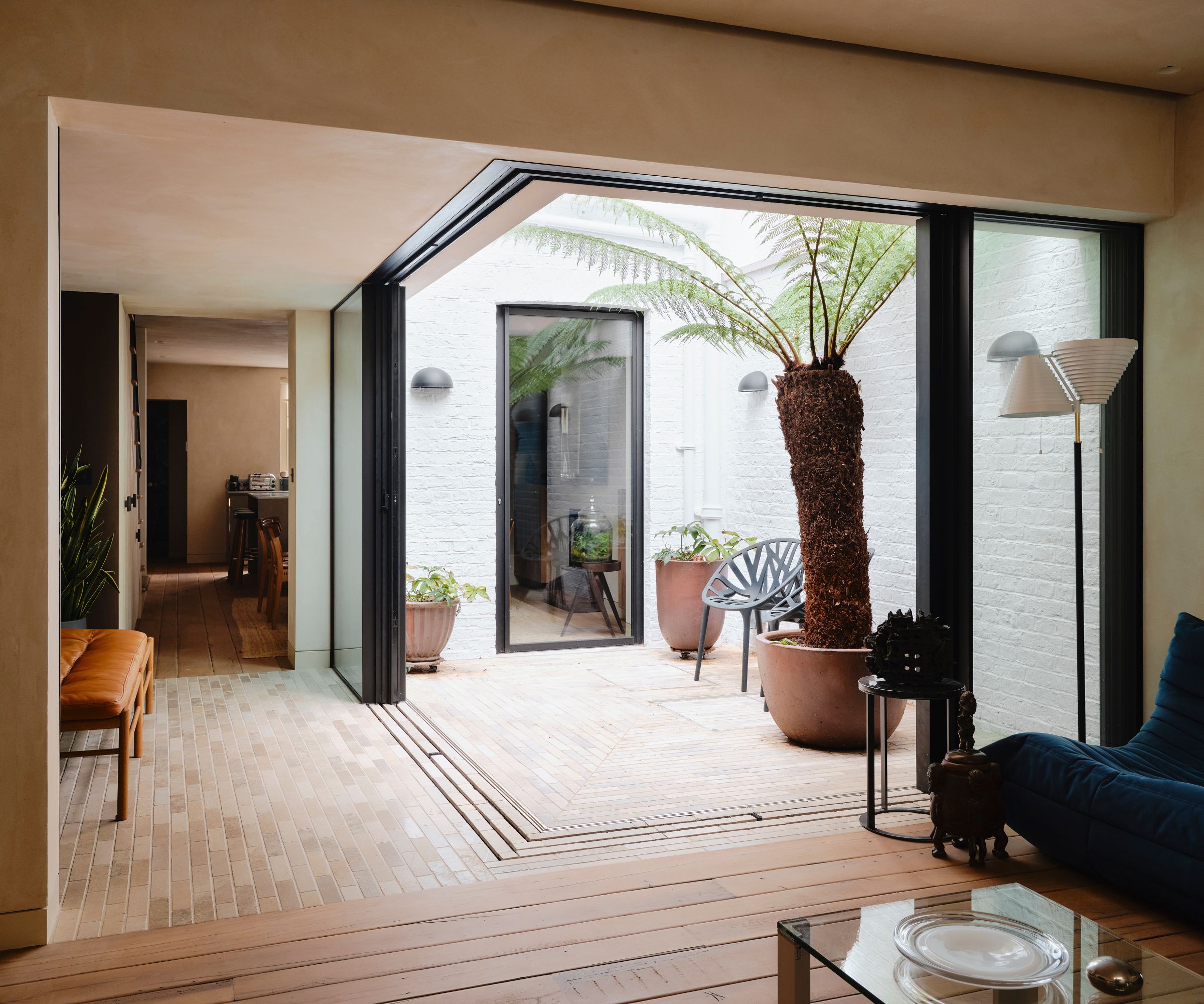 Courtyard garden with a large potted palm tree in an open plan living room and entryway