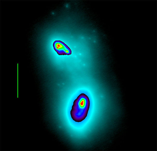 Merging Black Holes Observed in New Detail