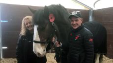 Karen Thompson, Hovis and Alan Davies