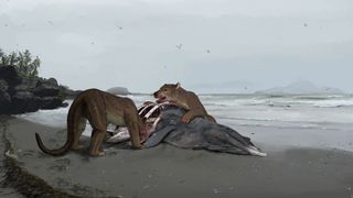 Ancient 'bear dog' found in France named after child-murdering cyclops |  Live Science