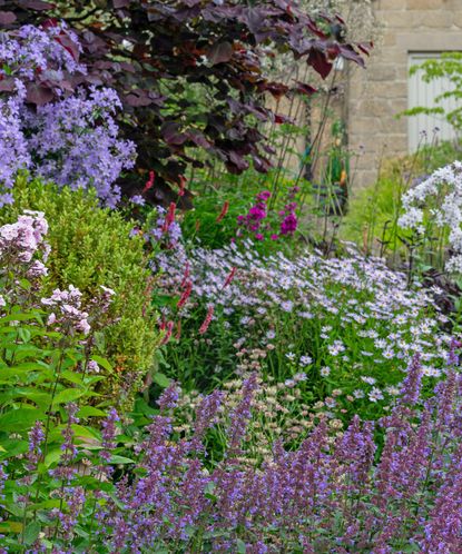 Top 5 planting mistakes to avoid – from the experts | Homes & Gardens