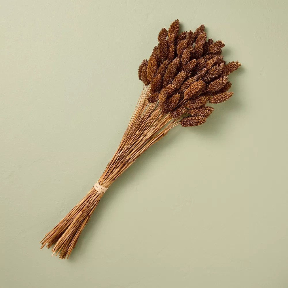 Preserved Bunny Tails Fall Bundle – Hearth & Hand™ with Magnolia
