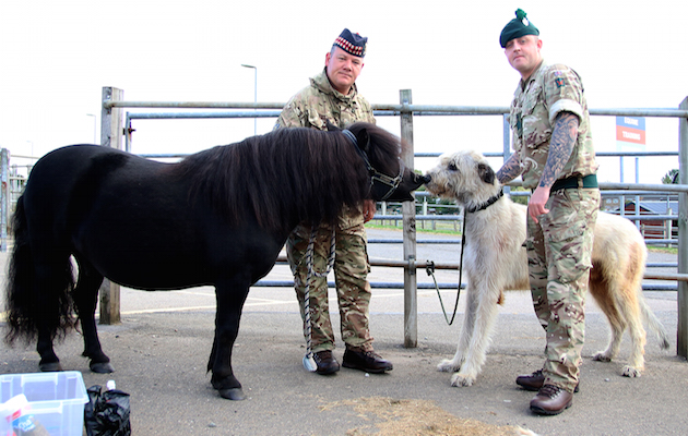 Regimental Mascot Training Camp.
