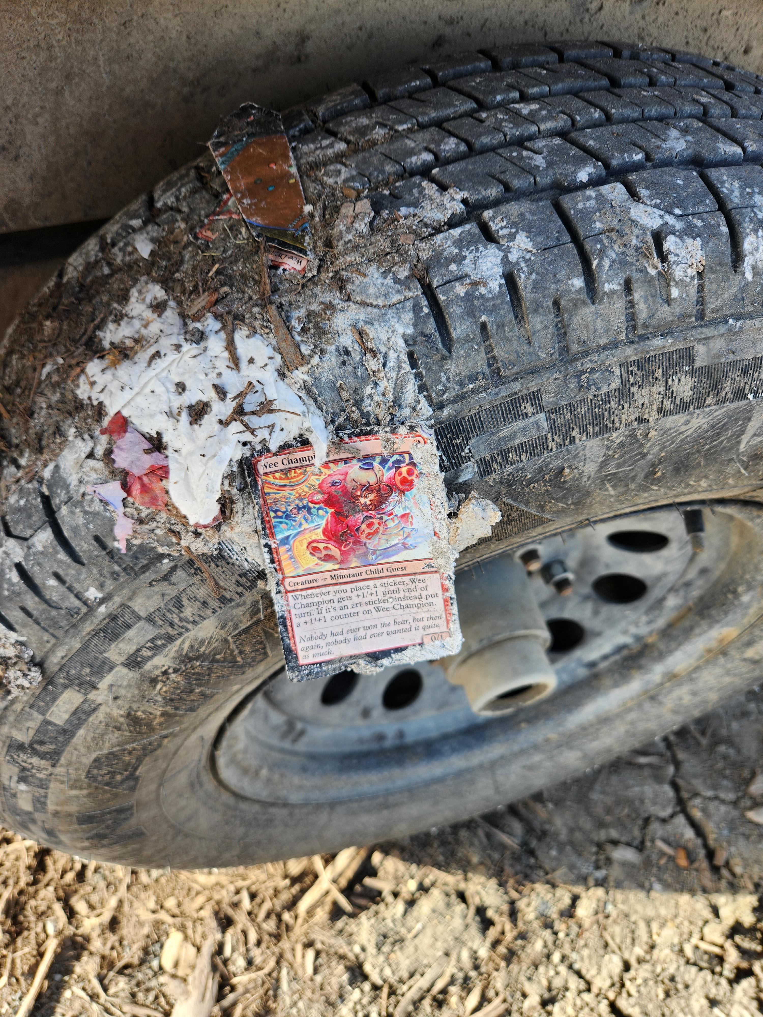 Any person tossed no less than $100K of Magic: The Gathering playing cards in a landfill