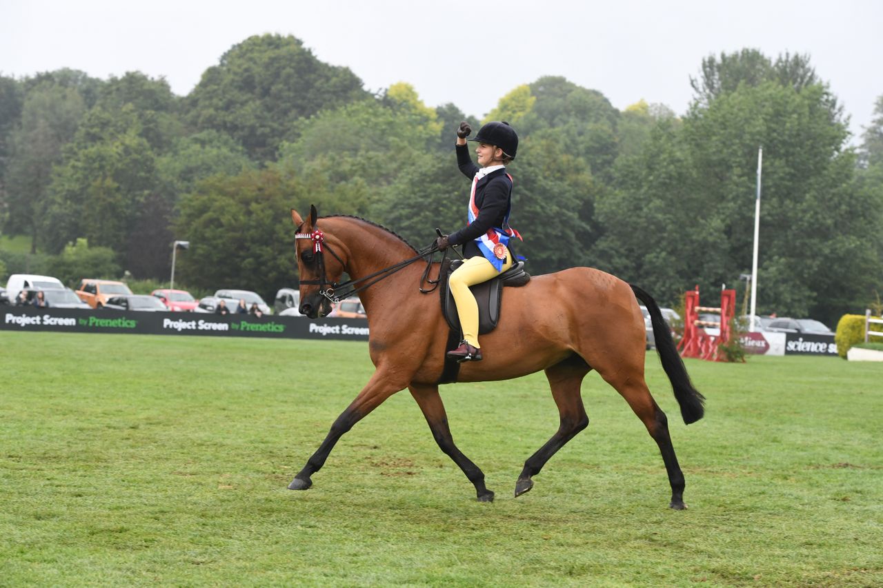 Mia Donaldson riding show pony Wilderness Early Bird