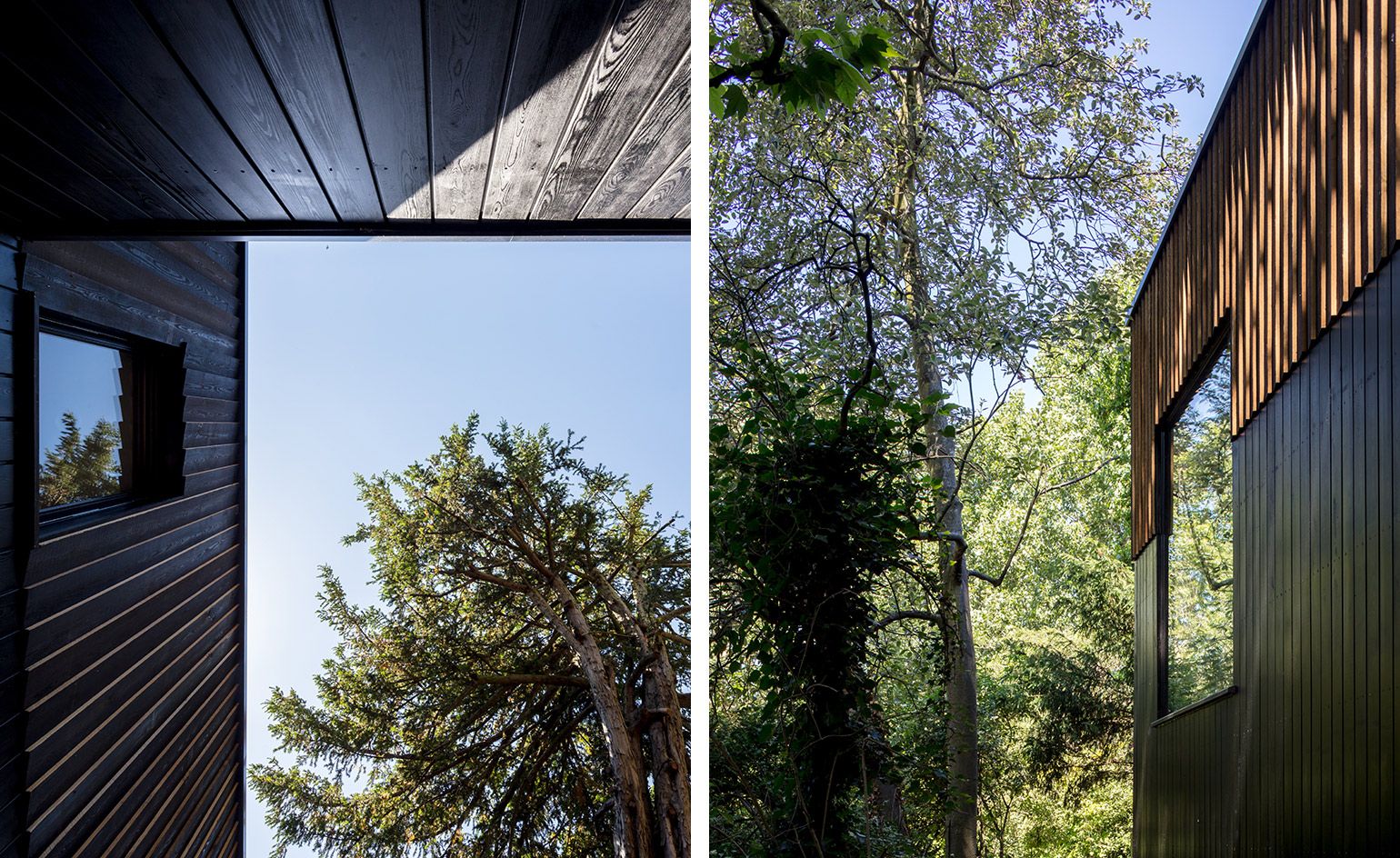 Regent S Park Open Air Theatre Studios By Reed Watts Architects