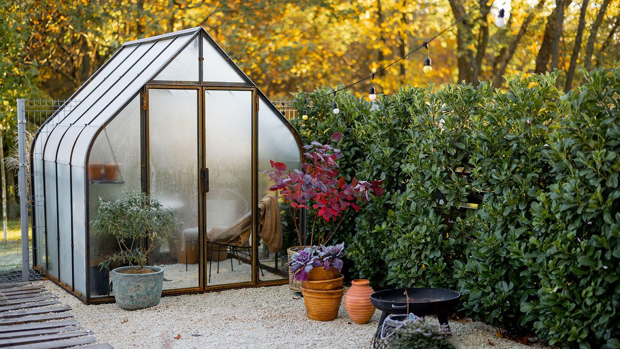 Vintage greenhouse in backyard