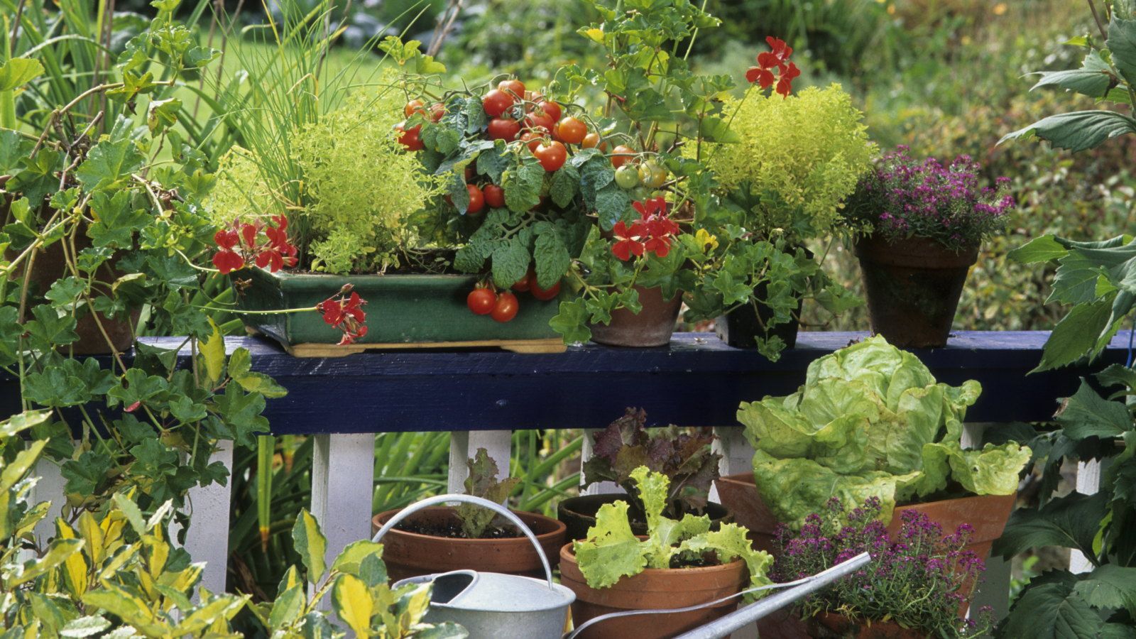 ALDI's $17 Wooden Plant Stand is the Cottagecore Addition That Every Small Yard Needs This Summer to Create an Abundant Feel